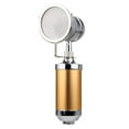 thumbnail image 3 of Esquirla plastic mini capacity golden portable microphone, 3 of 8