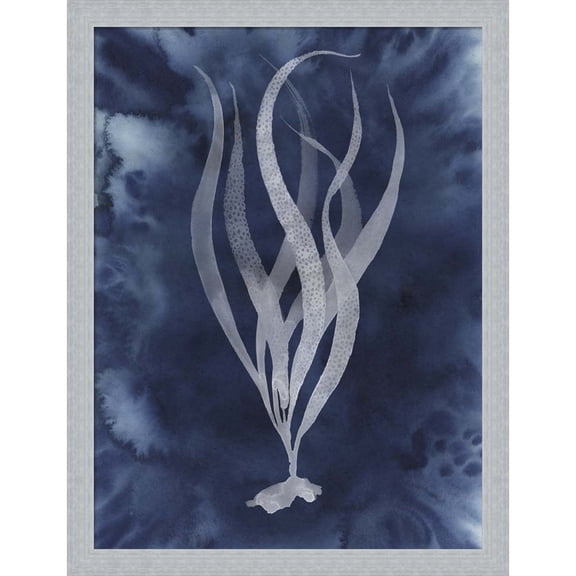Great Art Now Midnight Kelp I by Grace Popp, Framed Wall Art, 16.5W x 21.5H