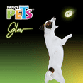 thumbnail image 2 of Juguete Perro Fancy Pets Glow Balón Rugby Fosforescente FL8785, 2 of 2