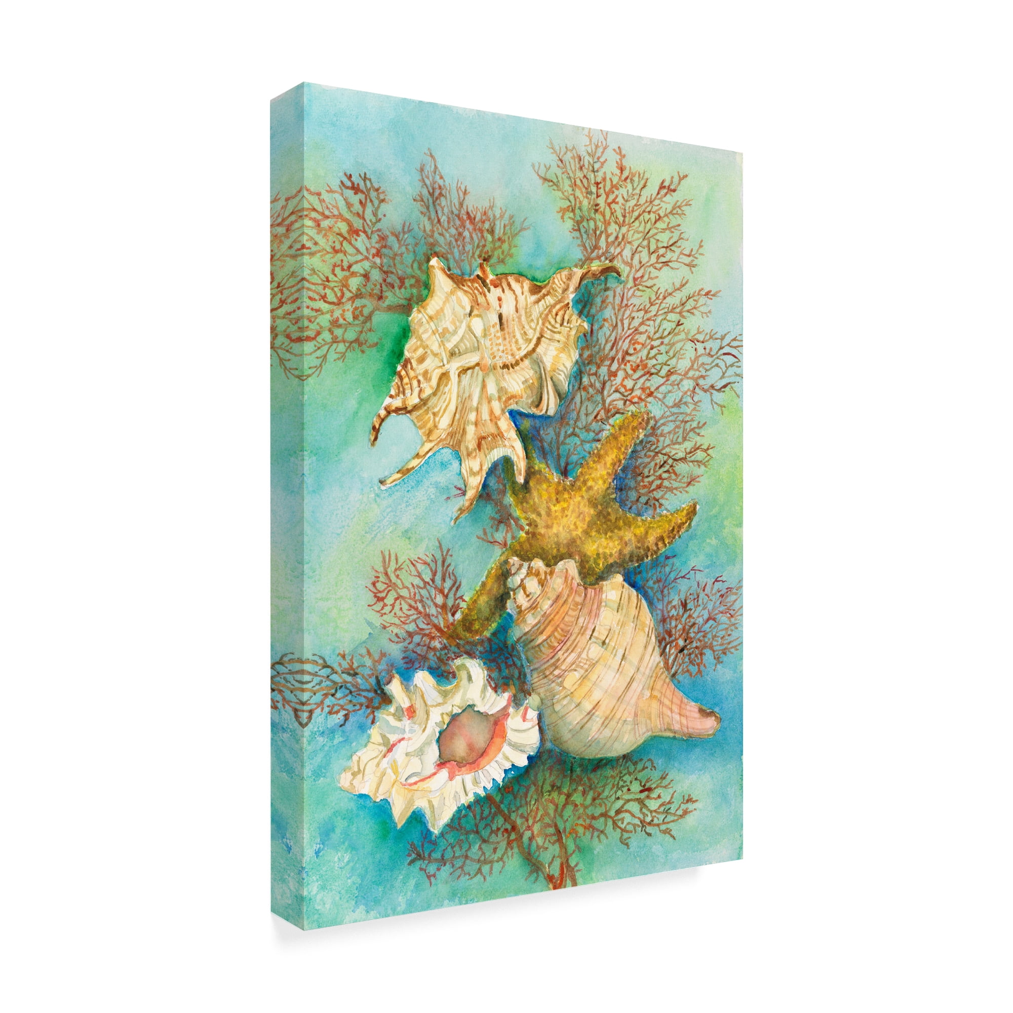 Trademark Fine Art 'Shells In The Deep Green Sea' Canvas Art by Joanne Porter