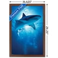 thumbnail image 3 of Shark - Depths Wall Poster, 14.725" x 22.375", Framed, 3 of 3