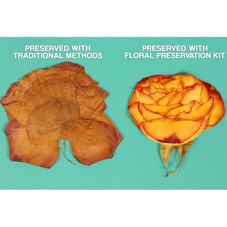 Floral Preservation Combo Kit, Flower Preservation Scrapbooking Kit  Developed in Partnership With David Tutera the Celebrity Wedding Planner 