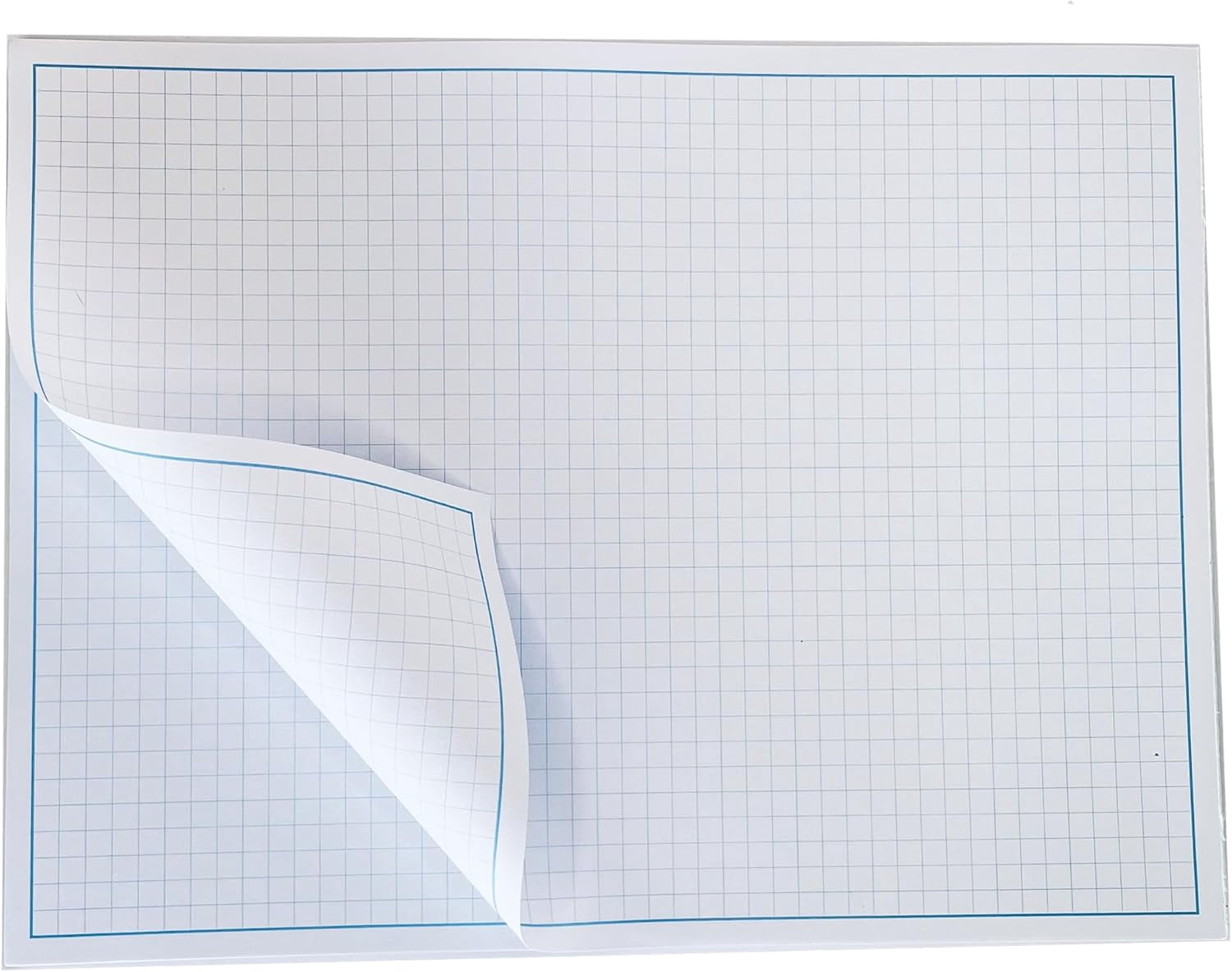 Reskid Blueprint and Graph Paper Pad - 50 Sheets Per Pad - 70lb Text - For Drawing, Designing, and More - Perfect Tool for Young Artists, Budding Designers, and Classroom Use (5, 12x18)
