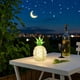 thumbnail image 2 of Acrylic LED Pineapple Night Light Creative Transparent Table Lamp Modern Home Decor Bedroom Living Room Ambient Lighting Gift Idea, 2 of 8