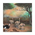 thumbnail image 2 of "The Ostrich Delight" - Canvas, 2 of 25