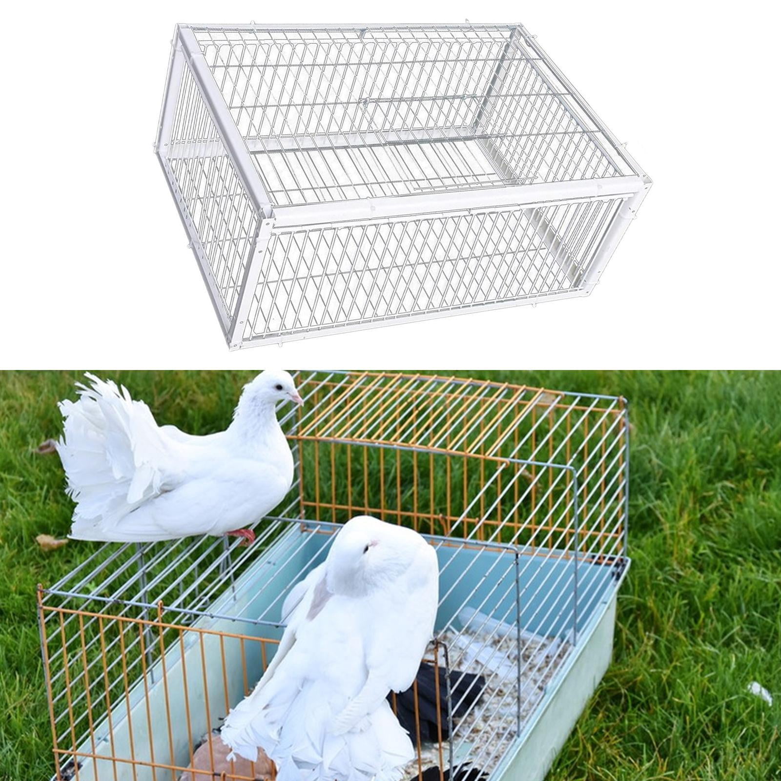 TOOYFUL Bird Cage, Animal Cage, Metal Wire Cage, Pigeon Stable, Automatic Pigeon Collection for Garages, Meat, Pigeons, Farms, Orchards, Chickens , 4 Entry