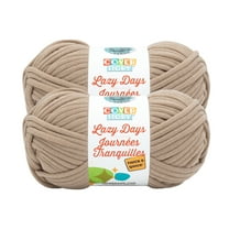 Lion Brand Yarn Cover Story Lazy Days Thick & Quick Sandstone Super Bulky Polyester Brown Yarn 2 Pack