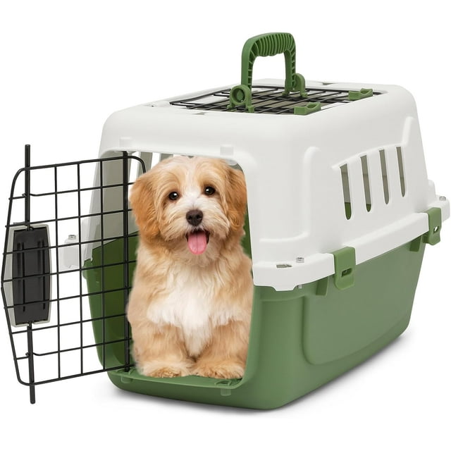 DENZUS 22-Inch Dog Crate Plastic 2-Door Top Loading Cat Carrier, Hard-Sided Dog Travel Carrier for Small Dogs and Cats, Ventilation and Security Lock Design for Pets up to 22 lbs (Green)