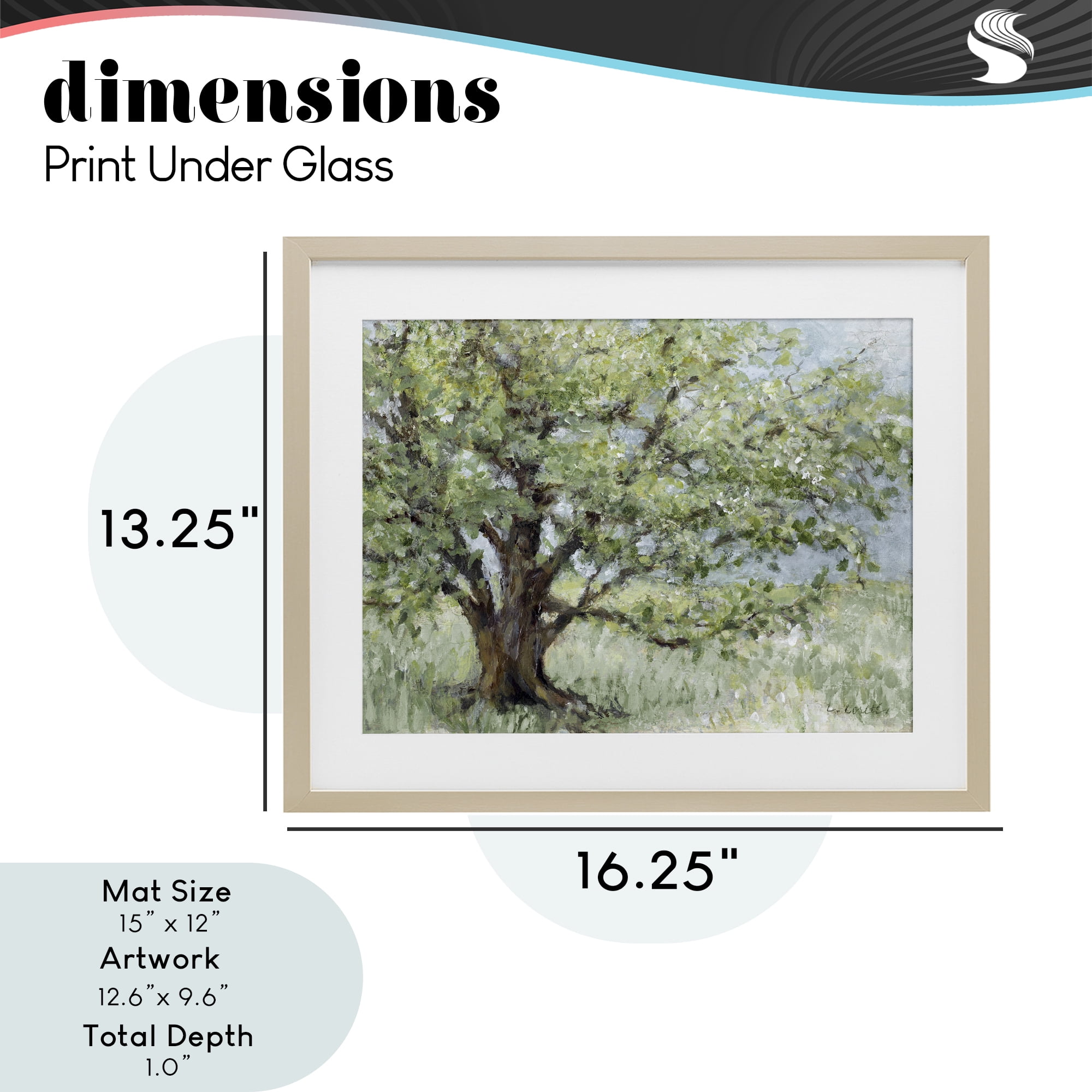 Stupell Industries Summer Oak Splendor Landscape Birch Framed Print Under Glass, design by Lanie Loreth