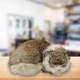 thumbnail image 5 of Realistic Realistic Cat Plush Cat Cute Toy Doll Birthday Ornaments for Gray Brown, 5 of 7