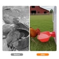 thumbnail image 4 of 6pcs Chicken Drinker Cups, TSV Large Automatic Poultry Water Dispenser for Hens and Ducks, 4 of 8