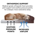 thumbnail image 5 of Furhaven Cama ortopédica para perros medianos y pequeños con refuerzos extraíbles y funda lavable, para perros de hasta 35 libras - Sofá acolchado - Café, mediano, 5 of 5