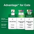 thumbnail image 6 of Advantage Topical Flea Treatment & Prevention For Small Cats 2-9 lbs. (2 Count), 6 of 7