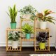 thumbnail image 5 of Estante para Plantas EOTVIA Soporte para Flores de Interior Madera 2+2+2 Capas, 5 of 7