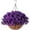 Purple, variant on Artificial Fake Hanging Flowers Plants Basket for Outdoor Porch Spring Decoration, Faux Silk Realistic Morning Glory Floral Petunia Arrangement Planter UV Resistant for Outside Patio Balcony Garden