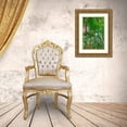 thumbnail image 3 of Engelbrecht, Lisa S. 13x18 Gold Ornate Wood Framed with Double Matting Museum Art Print Titled - Cyrtostachys renda-palm tree, 3 of 4