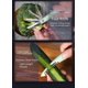thumbnail image 4 of Pelador de frutas y verduras 2 en 1 y cuchillo para pelar, papas de acero inoxidable, manzanas, zanahorias, pelador de pepinos, mango de pelador de cocina Xemadio WMPH-535-2, 4 of 5