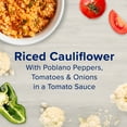 Birds Eye Steamfresh Riced Cauliflower Spanish Style, Frozen Sides, 10