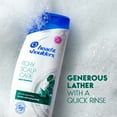 thumbnail image 6 of Head & Shoulders Itchy Scalp Care Anti-Dandruff Shampoo, Paraben Free, 32.1 oz, 6 of 9