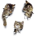 thumbnail image 1 of Autocollant Mural 3D Cat Autocollant de Toilette Combinaison Autocollant Imperméable Réfrigérateur Autocollant de Porte, 1 of 4
