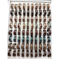thumbnail image 2 of K-KED WHOLESALE 20PCS WOOD 316L STAINLESS STEEL RINGS MAN WOMEN JEWELRY-H, 2 of 5