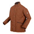 thumbnail image 4 of Regatta - Chaqueta Aislante Londyn de Acolchado para Hombre (Pan de Jengibre), 4 of 5