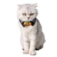 thumbnail image 2 of Collar de calabaza Pet Cat Tie Suministros para mascotas para la vida diaria Fiesta Halloween, 2 of 6