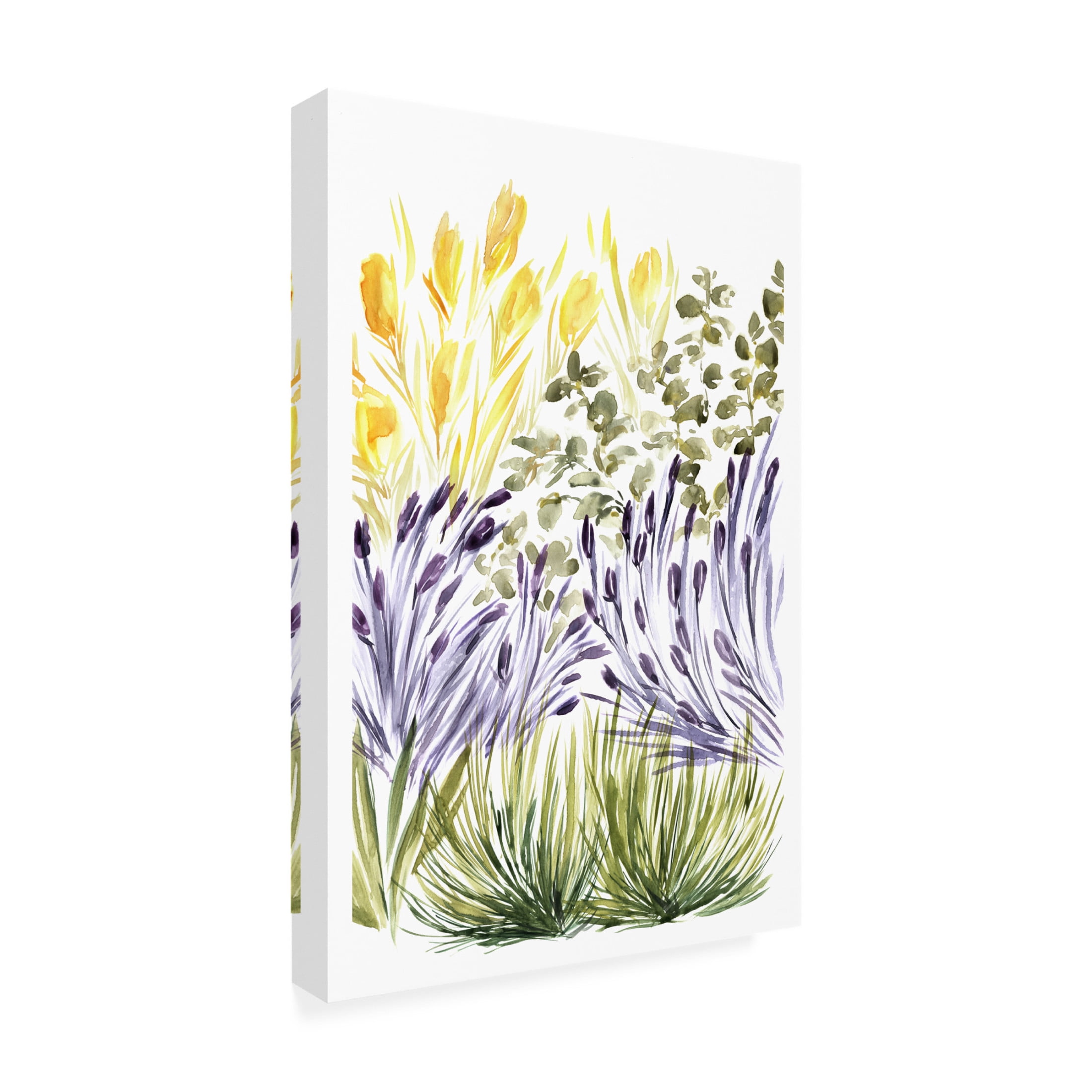 Trademark Fine Art Rosana Laiz Blursbyai Elisa's garden right Canvas Wall Art