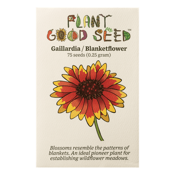 Plant Good Seed Gaillardia Flower Seeds: Organic Blanket Flower, Full Sun or Part Shade, Perennial