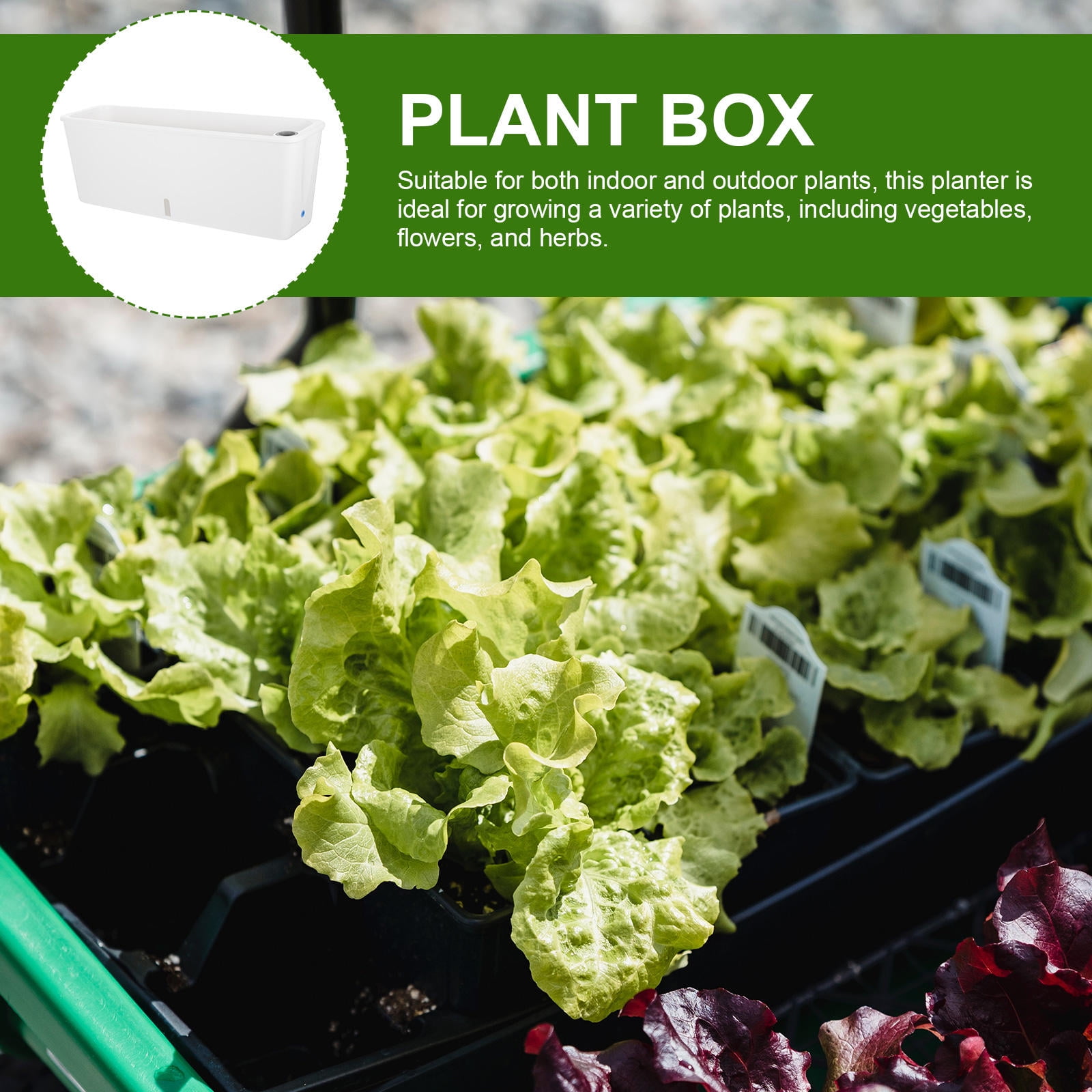 Masteelf Self-Watering Flower Pot With Drainage System Rectangular Indoor Vegetable Pot Garden Balcony Flower Box Outdoor Flower Pots Windowsill Planter