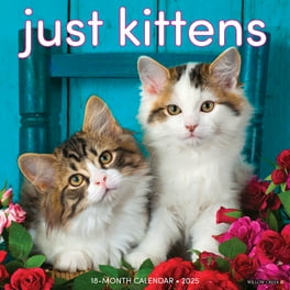 【コンビニ受取対応商品】 2018 Kitty Your up Dress 16 Includes Calendar Month Pets&AnimalCare