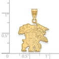 thumbnail image 2 of Solid 10k Yellow Gold Official University of Kentucky Large Pendant Charm - 26mm x 19mm, 2 of 3