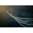 thumbnail image 2 of Grambone, Antonio 32x23 White Modern Wood Framed Museum Art Print Titled - Air show, 2 of 4