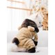 thumbnail image 1 of 1pc Coral Fleece Thickened Reversible Transformable Brown Bear Design Warm And Comfortable, 1 of 5