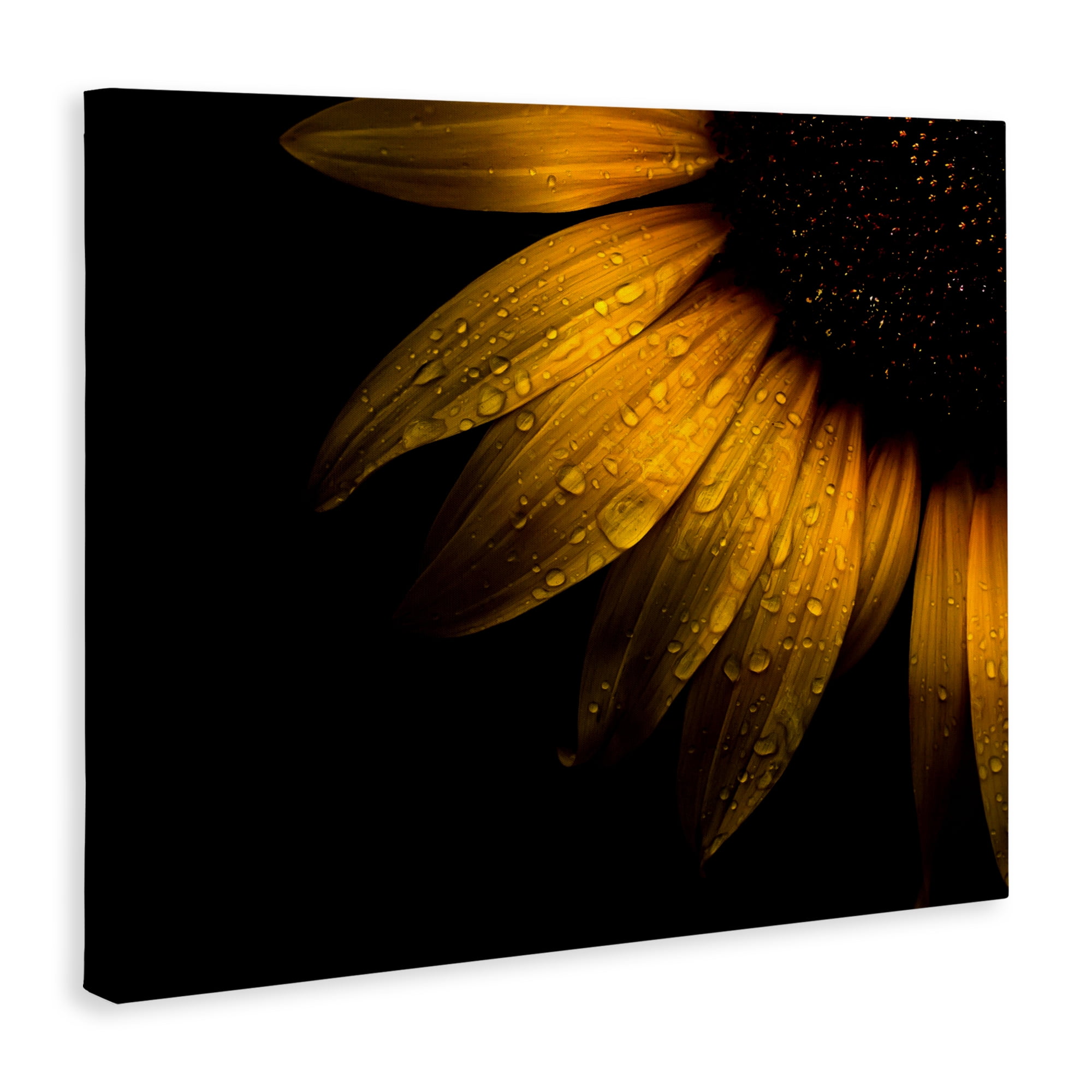 Water Droplets on Sunflower Canvas Wall Art, design by Brian Carson Photography