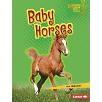 Lightning Bolt Books (R) -- Horse Lover& Baby Horses, (Hardcover)