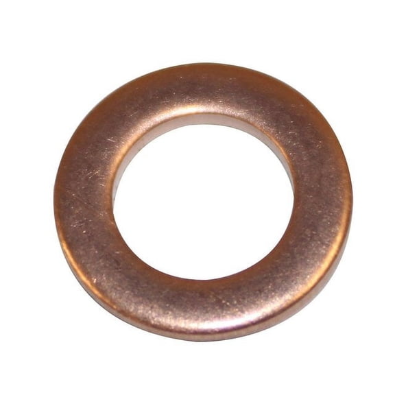 Brake Hydraulic Hose to Caliper Bolt Washer - Compatible with 2003 - 2010 Dodge Ram 2500 2004 2005 2006 2007 2008 2009