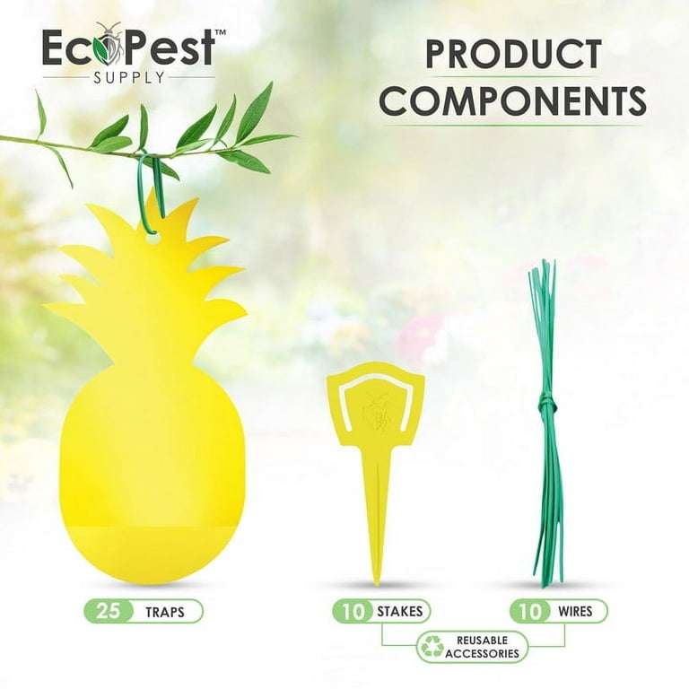 EcoCanucks StickieTraps (50 Pack) - Sticky Fruit Fly Traps & Gnat