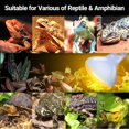 thumbnail image 4 of ECOSUB 150W Reptile Terrarium Heat Lamp, UVA Daylight Lamp, 2 Counts, 4 of 8