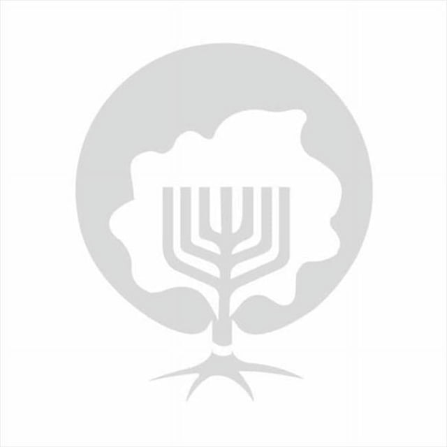 Holy Land Gifts 106567 Messianique Racines Symbole Bleu Étain 4,5 Po