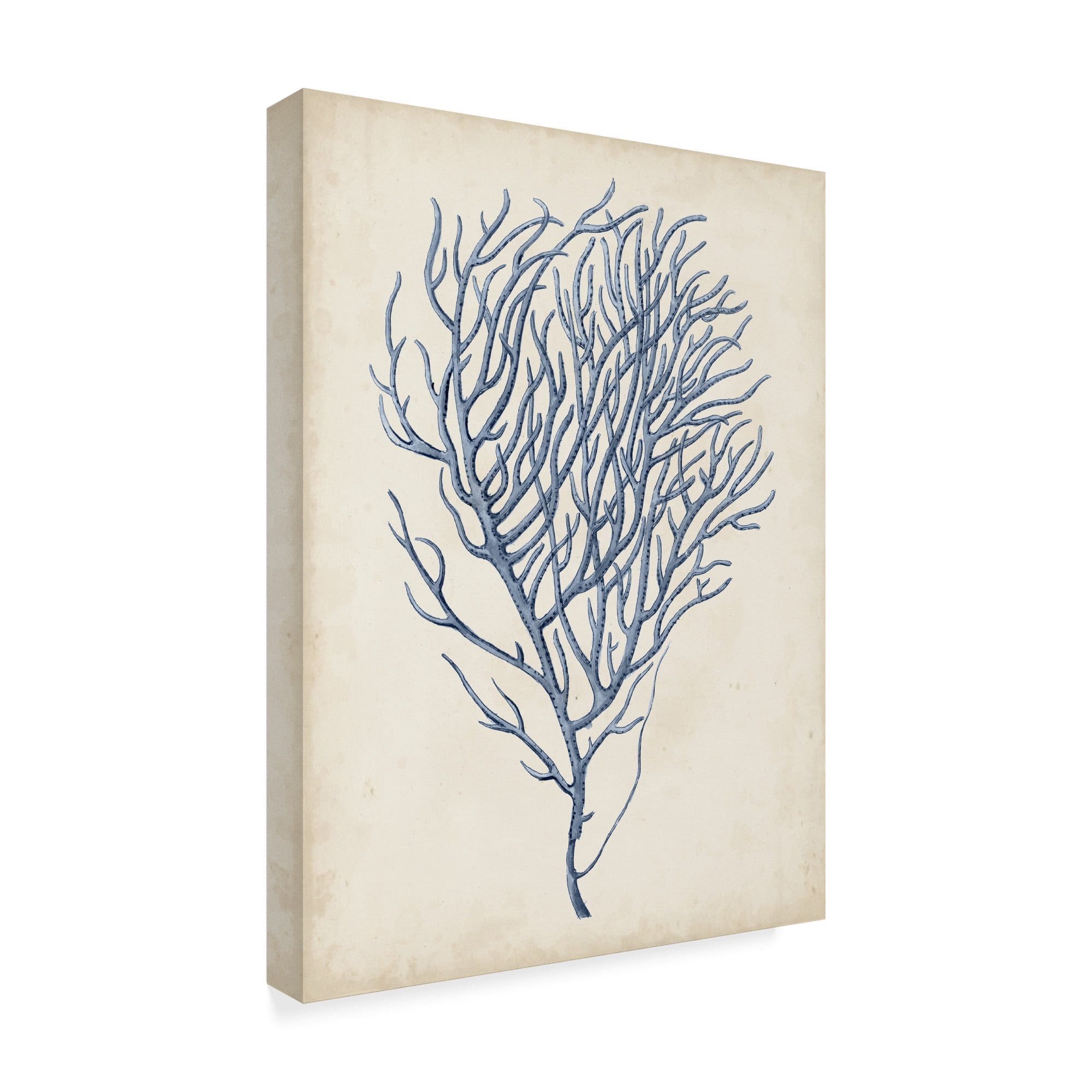 Trademark Fine Art 'Indigo Coral VI' Canvas Art by Vision Studio