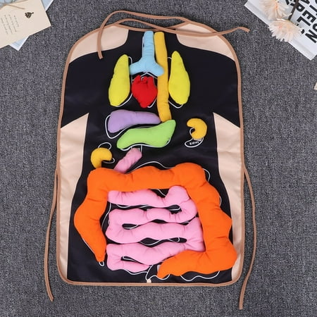 Vocheer 3D Organ Apron - Anatomy Educational Toy For Kids With Removable Organs