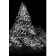 thumbnail image 2 of Jaynes Gallery 23x32 Gold Ornate Wood Framed with Double Matting Museum Art Print Titled - USA-Arizona-Buckeye-Black and white abstract motion of Christmas tree at night, 2 of 4