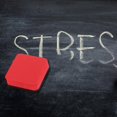thumbnail image 1 of Feltree Whiteboard Eraser Magnetic EVA Board Eraser Rectangular Children Cloth Blackboard Eraser, 1 of 8