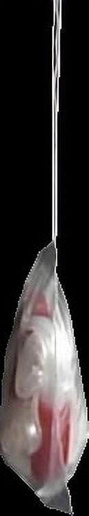 Creme 1.5" Mini Tail Tube Lures, Red & White, 15 Count