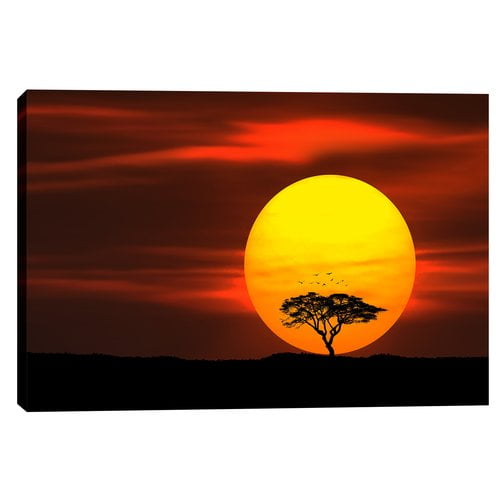 Epic Graffiti ''Circle of Life'' by Bess Hamiti Photographic Print on Wrapped Canvas