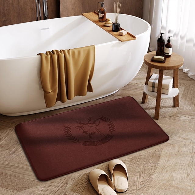 Chmadoxn Bathroom Rugs, Rugs for Living Room, Area Rug, Super Absorbent Dry Rubber Backing Non Slip Washable Bathroom Floor Mats Shower Rug For In Front Of Bathtub ShowerRoom 16x24IN bath cushion