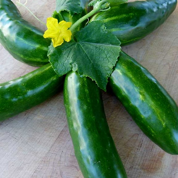Organic Marketmore 76 Cucumber Seeds - 1 g ~30 Seeds - Organic, Heirloom, Open Pollinated, Non-GMO, Farm & Vegetable Gardening Seeds