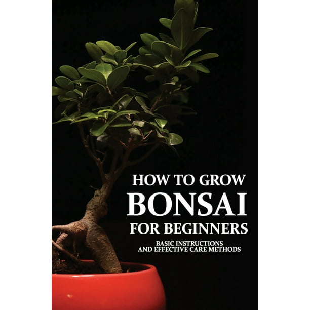 How To Grow Bonsai For Beginners Basic Instructions And Effective Care Methods How To Make A Bonsai Tree From A Normal Tree Paperback Walmart Com Walmart Com