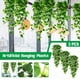 thumbnail image 2 of Decoración Plantas De Interior 3 Piezas Cestas Colgantes) Exterior Para Pared (Sin Hogar, 2 of 8